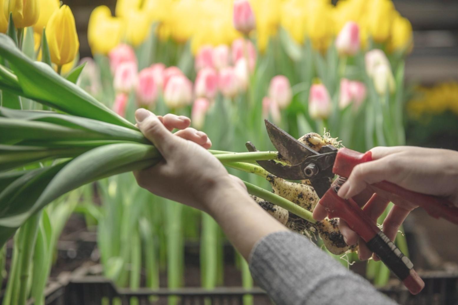 Elegant floral arrangement being prepared for a special event